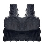 Pack of 3 Bra - Lace Blush